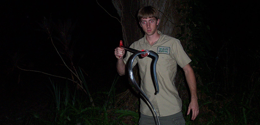 Do Snakes Sleep at Night